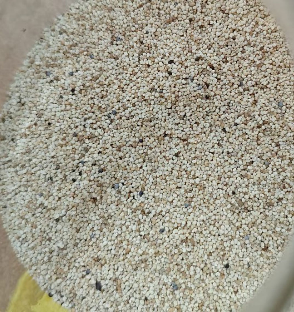 চট্টগ্রাম বন্দরে বার্ড ফুডের আড়ালে ২৫ টন পপিবীজ জব্দ