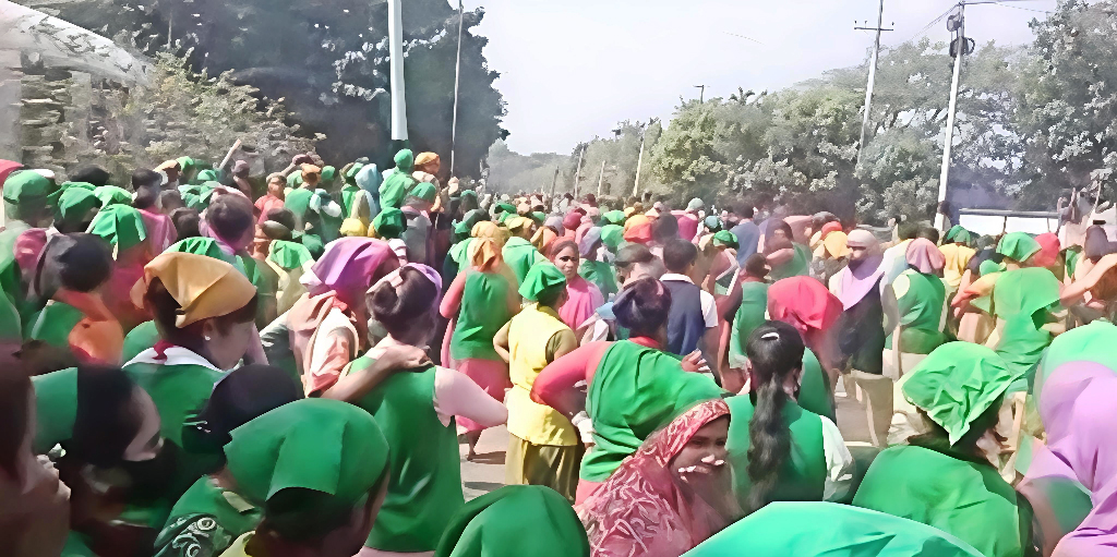 কুমিল্লা ইপিজেডে ভূমিকম্পে আতঙ্ক: অচেতন অন্তত ৮০ নারী শ্রমিক, হাসপাতালে ৩০ জন