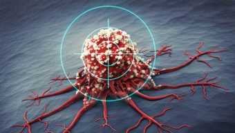 ওষুধের আঘাত থেকে বাঁচতে ‘মৃত্যুর অভিনয়’ করে ক্যানসার কোষ: নতুন গবেষণা