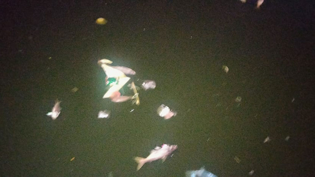 বরিশালের ঐতিহ্যবাহী বিবির পুকুরে আবারও মরা মাছ, দুর্গন্ধে জনদুর্ভোগ