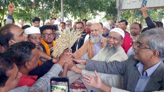 মুন্সিগঞ্জের শ্রীনগরে বিকল্পধারা বাংলাদেশের শতাধিক নেতা-কর্মী বিএনপিতে যোগদান