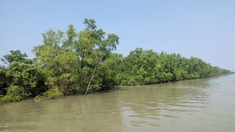 সুন্দরবনে ‘ডন বাহিনী’র অপহরণ: সাত জেলের মুক্তিপণ দাবি ৫০ হাজার টাকা