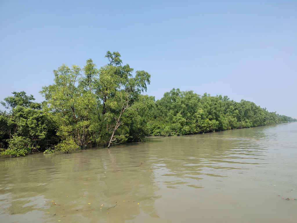 সুন্দরবনে ‘ডন বাহিনী’র অপহরণ: সাত জেলের মুক্তিপণ দাবি ৫০ হাজার টাকা