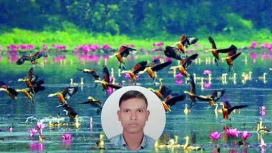 কবিতা