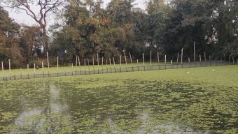 সীমানা নির্ধারণ নিয়ে আদমদীঘিতে রক্তক্ষয়ী সংঘর্ষের আশঙ্কা