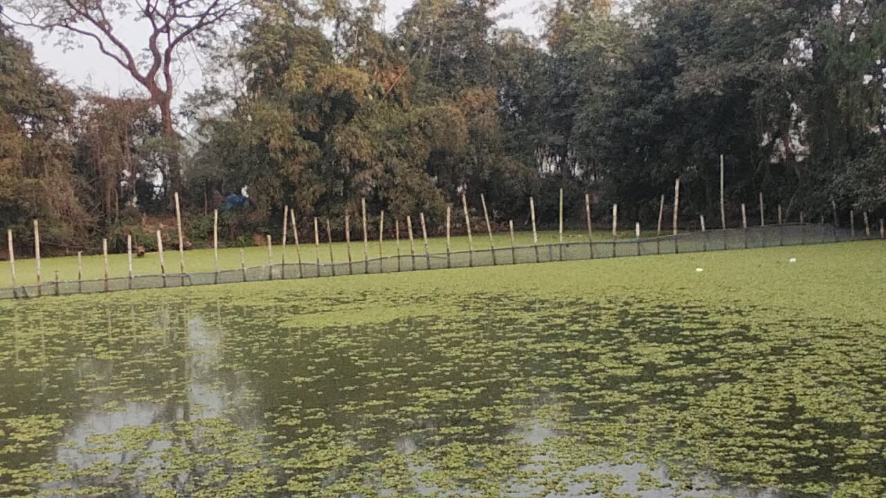 সীমানা নির্ধারণ নিয়ে আদমদীঘিতে রক্তক্ষয়ী সংঘর্ষের আশঙ্কা