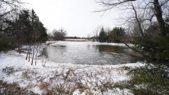 টেক্সাসে হিমায়িত পুকুরে ডুবে ৩ ভাইয়ের মৃত্যু: দুই ভাইকে বাঁচাতে গিয়ে প্রাণ গেল সবার