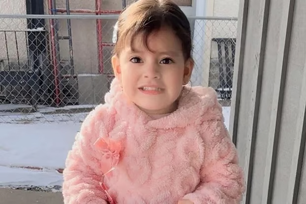 মিনিয়াপলিসে আদালতের নির্দেশ উপেক্ষা করে ২ বছরের শিশুসহ বাবাকে আটক: আইসিই-র বিরুদ্ধে নৃশংসতার অভিযোগ