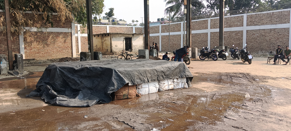 বেনাপোলে ‘উল্টো পুরাণ’: ভারত থেকে পাচার হয়ে এলো ৬ হাজার কেজি ইলিশ