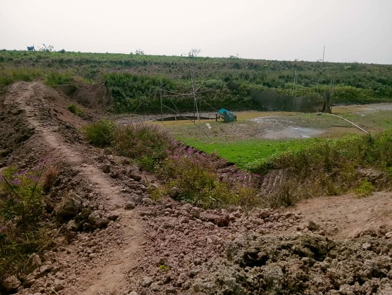 জৈন্তাপুরে নদী আটকে মাছ শিকারের মহোৎসব: বিপন্ন মাছের অভয়ারণ্য, নিরব প্রশাসন