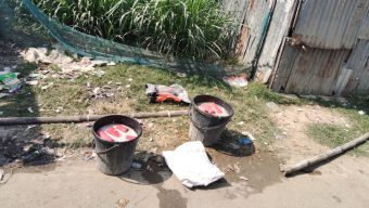 কুমারখালীতে ভোটকেন্দ্রের কাছে ১০টি ককটেল উদ্ধার: এলাকায় আতঙ্ক