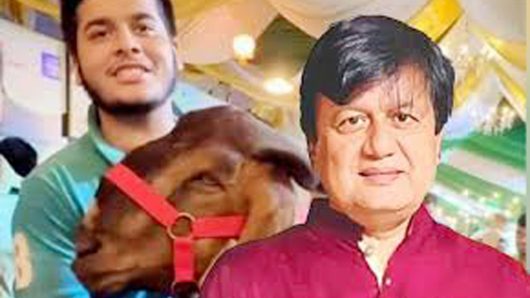 ছাগলকাণ্ডের মতিউরের আরও ৪টি প্লট ক্রোকের নির্দেশ