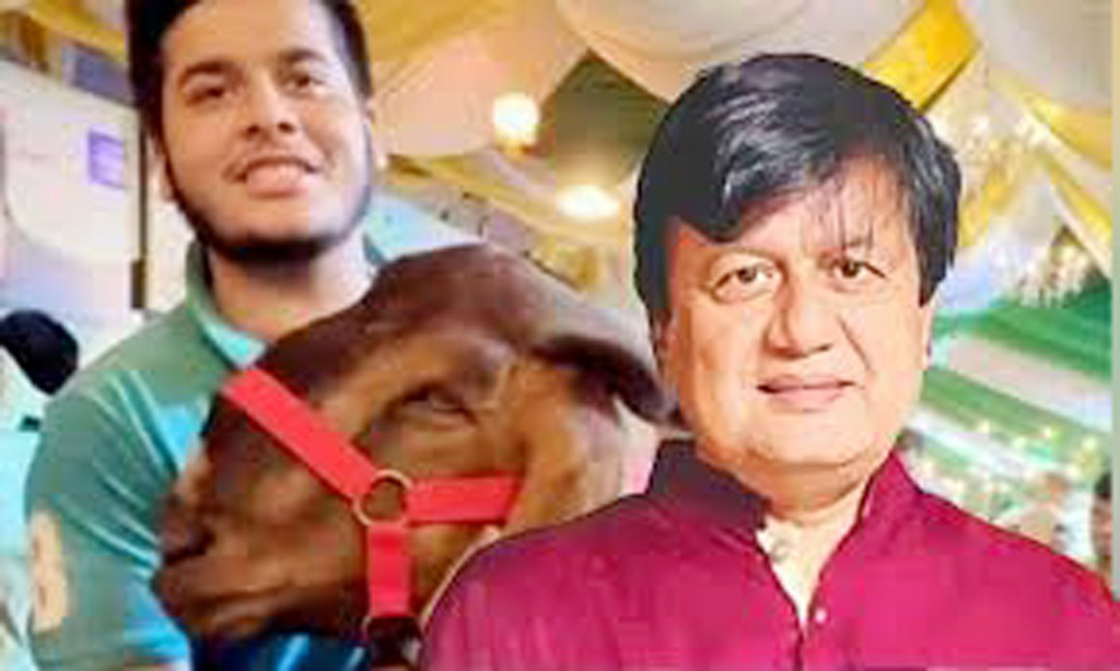 ছাগলকাণ্ডের মতিউরের আরও ৪টি প্লট ক্রোকের নির্দেশ