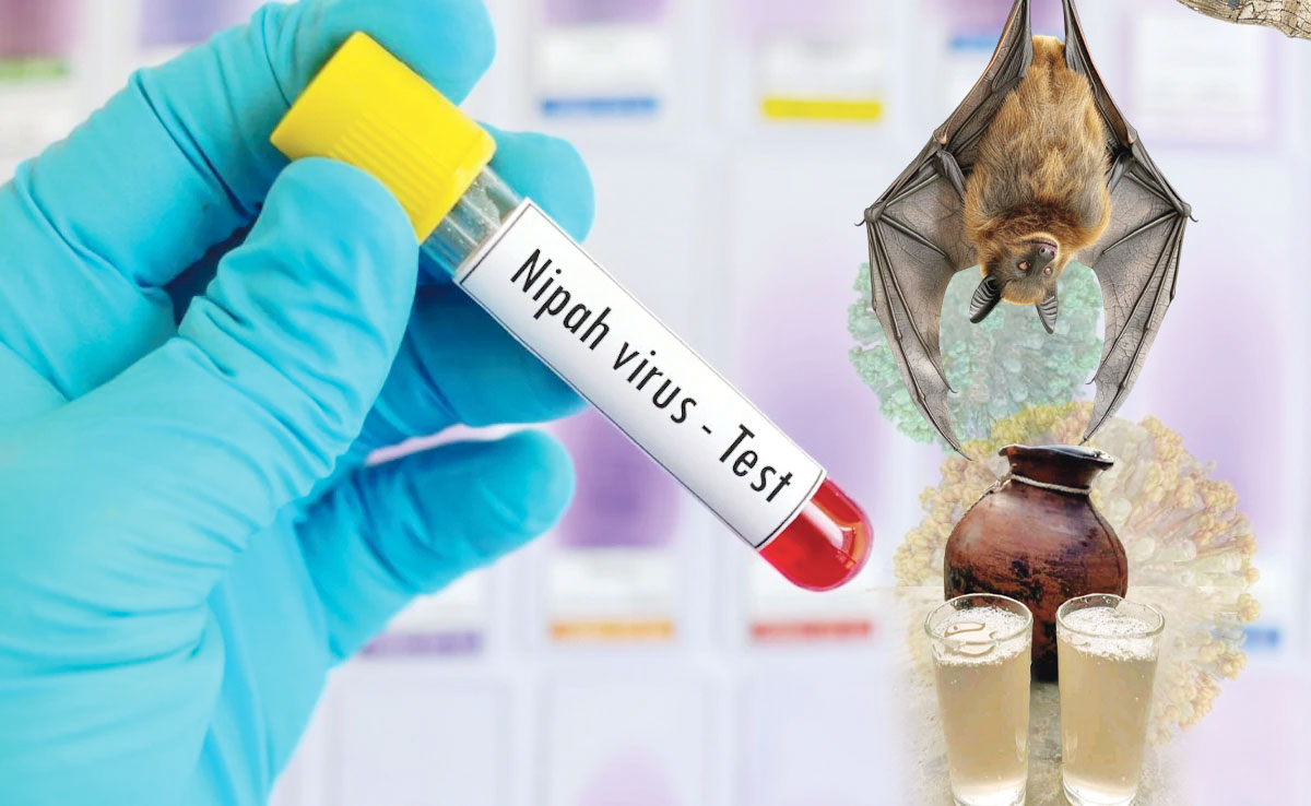 নওগাঁয় নিপাহ ভাইরাসে নারীর মৃত্যু: চলতি বছরে দেশে প্রথম প্রাণহানি