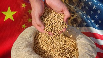 সুপ্রিম কোর্টের রায়ে শুল্ক ক্ষমতা হারালেন ট্রাম্প: অনিশ্চয়তায় মার্কিন সয়াবিন বাজার