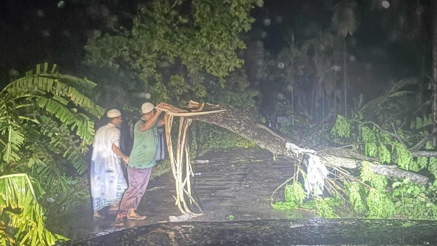 মতলব উত্তরে কালবৈশাখীর তাণ্ডব: লণ্ডভণ্ড ঘরবাড়ি ও গাছপালা, বিদ্যুৎহীন জনপদ