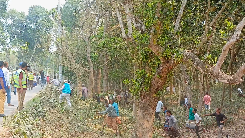 গাংনীতে ভিজিএফের চাল ও প্যানেল চেয়ারম্যান নিয়ে বিএনপির দুই গ্রুপে সংঘর্ষ, আহত ৭