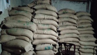 ভূরুঙ্গামারীতে খাদ্য অধিদপ্তরের সিলযুক্ত ২০ টন চাল জব্দ: গুদাম মালিকরা পলাতক