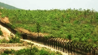 ঘুমধুম সীমান্তে আরসা-আরএসও-আরাকান আর্মি সংঘাত: মর্টার শেল বিস্ফোরণে আতঙ্ক