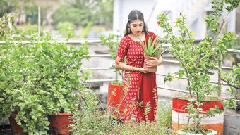 নগরীর কংক্রিট জঙ্গলে সবুজের ছোঁয়া: ঢাকা বাঁচাতে পারে ‘ছাদবাগান’