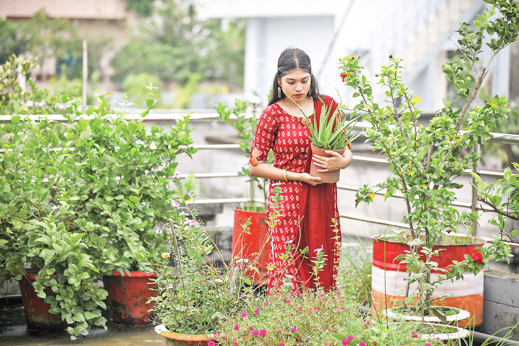 নগরীর কংক্রিট জঙ্গলে সবুজের ছোঁয়া: ঢাকা বাঁচাতে পারে ‘ছাদবাগান’