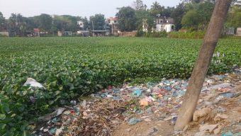 ৯০০ বছরের ঐতিহ্য এখন অবহেলার প্রতীক: বিলুপ্তির পথে সিলেটের হিন্দুয়ানী দিঘী