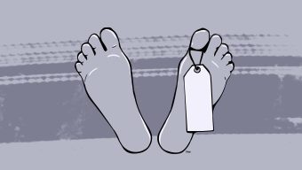 মোহনপুরে ভ্যান থামানো নিয়ে বাগ্‌বিতণ্ডা: ইট দিয়ে মাথা থেঁতলে চালককে হত্যা