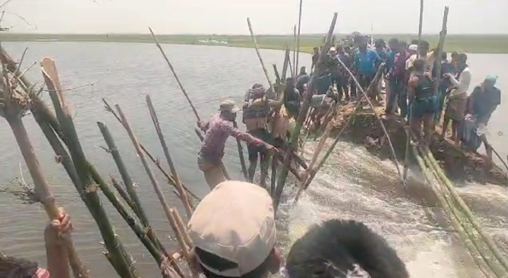 সুনামগঞ্জে গুজাউনি বাঁধ ভেঙে দেখার হাওরে পানি: কয়েক হাজার হেক্টর ফসলহানির আশঙ্কা