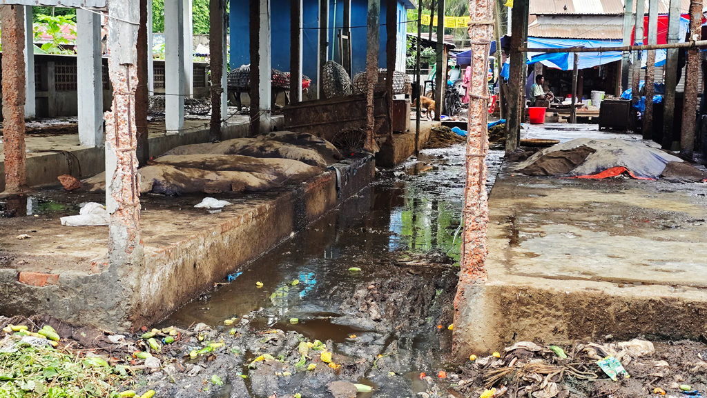 শ্রীবরদী মাছ বাজার যেন ময়লার ভাগাড়: দুর্গন্ধে অতিষ্ঠ ক্রেতা-বিক্রেতা, উদাসীন পৌর কর্তৃপক্ষ