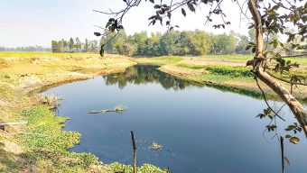 সুতাং নদের মাছ ও পানিতে প্লাস্টিক কণা: ভয়াবহ স্বাস্থ্যঝুঁকিতে হবিগঞ্জবাসী