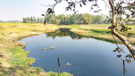 সুতাং নদের মাছ ও পানিতে প্লাস্টিক কণা: ভয়াবহ স্বাস্থ্যঝুঁকিতে হবিগঞ্জবাসী