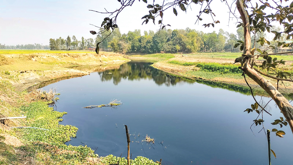 সুতাং নদের মাছ ও পানিতে প্লাস্টিক কণা: ভয়াবহ স্বাস্থ্যঝুঁকিতে হবিগঞ্জবাসী