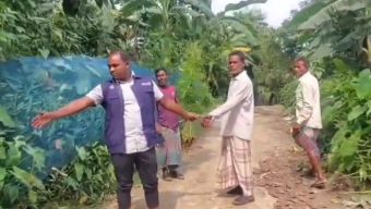 সুনামগঞ্জের হরিনগরে বাড়ির ছাঁদ থেকে গাঁজার গাছসহ ১ জন আটক
