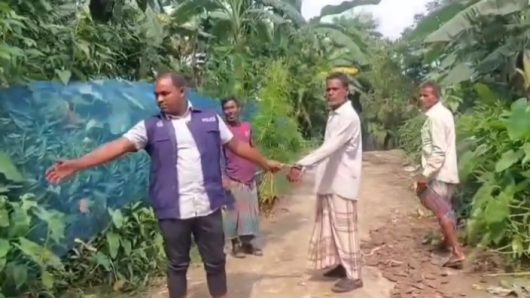সুনামগঞ্জের হরিনগরে বাড়ির ছাঁদ থেকে গাঁজার গাছসহ ১ জন আটক