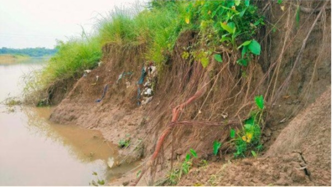 গোলাপগঞ্জে শিংপুর ডাইক ভাঙন, আতঙ্কে এলাকাবাসী