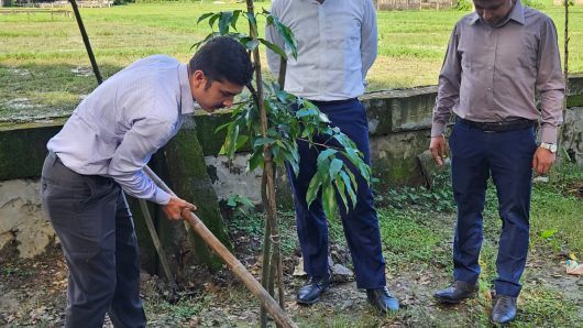 ইউনিয়ন ভূমি অফিস প্রাঙ্গণে শতাদিক চারা রোপন