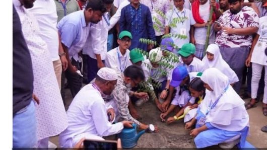 জাতীয় বৃক্ষরোপণ কর্মসূচি অনুষ্ঠিত