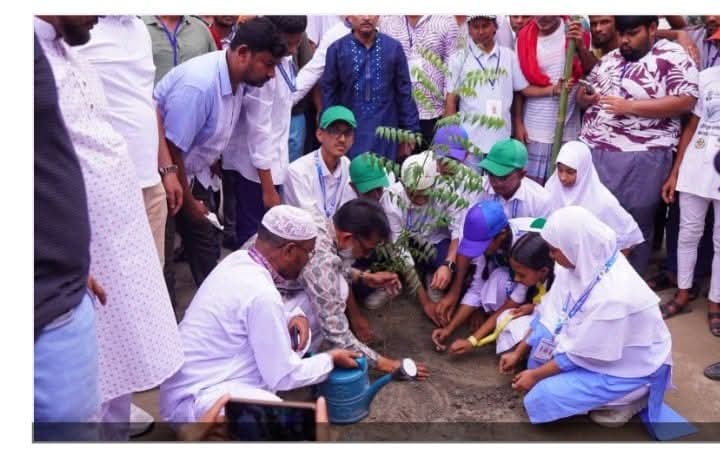 জাতীয় বৃক্ষরোপণ কর্মসূচি অনুষ্ঠিত