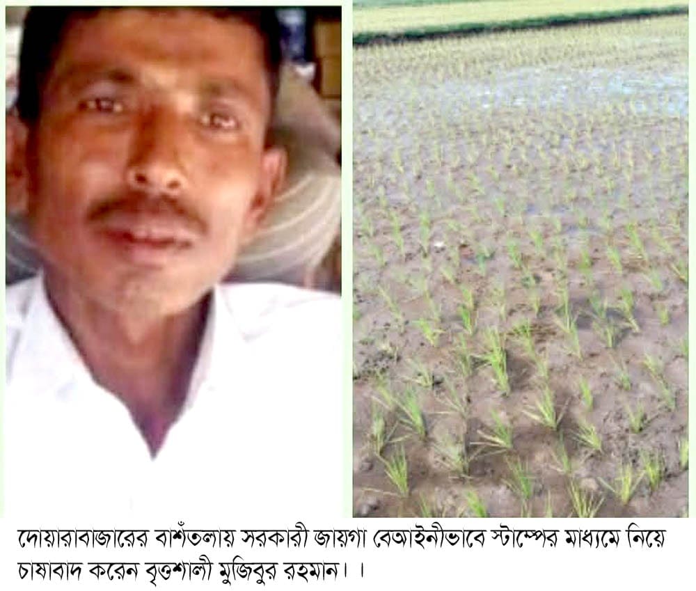 দোয়ারাবাজারে এক ভূমিহীনের দখলে থাকা সরকারী জায়গা প্রভাবশালীচক্র স্টাম্পের মাধ্যমে জোরপূর্বক দখল