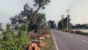 ছাতক-গোবিন্দগঞ্জ সড়কে গাছ কাটা নিয়ে জনমনে নানা প্রশ্ন দেখা দিয়েছে