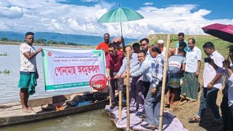দোয়ারাবাজারে ৮ জলাশয়ে ২৯০ কেজি পোনামাছ অবমুক্ত মাছের উৎপাদন বৃদ্ধি ও জীববৈচিত্র্য সংরক্ষণে মৎস্য বিভাগের উদ্যোগ