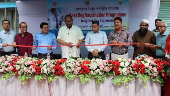 জলাতঙ্ক নির্মূলে সিসিকের কুকুর টিকাদান কর্মসূচির উদ্বোধন করেন প্রশাসক ও প্রধান স্বাস্থ্য কর্মকর্তা